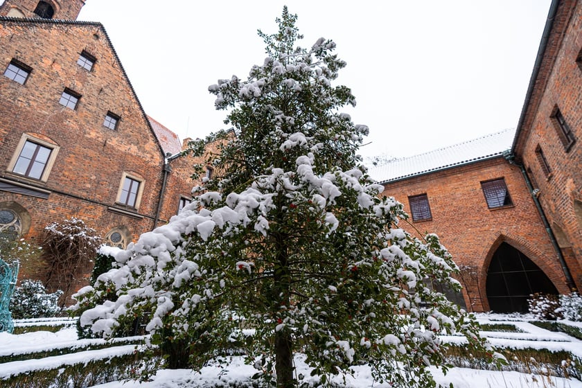 Wirydarz w Muzeum Architektury we Wrocławiu